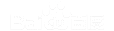 ��ʦAI�Ż�
